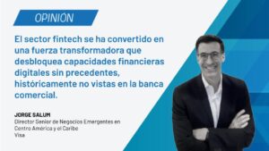 salum fintechs visa